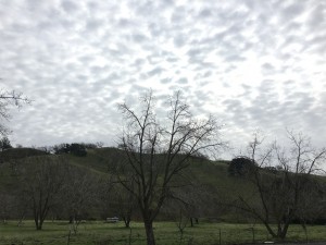 Not rough: Bike riding between rain showers with these clouds and this greenery.