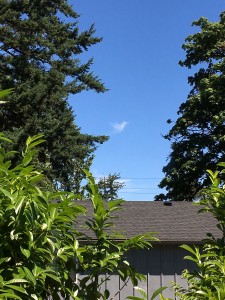 From my desk, I see a cloud. Or maybe it's a bird.